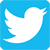 Twitter icon